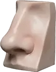 駝峰鼻
