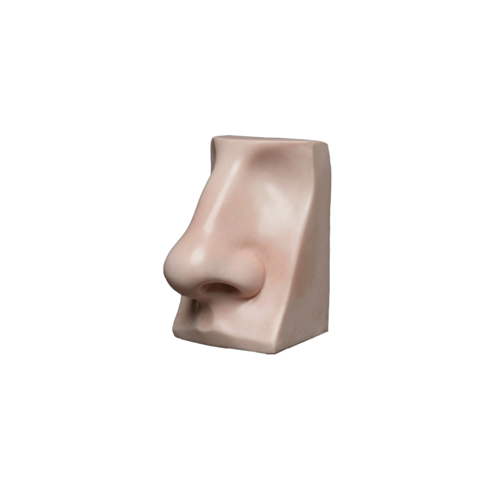 手術概述