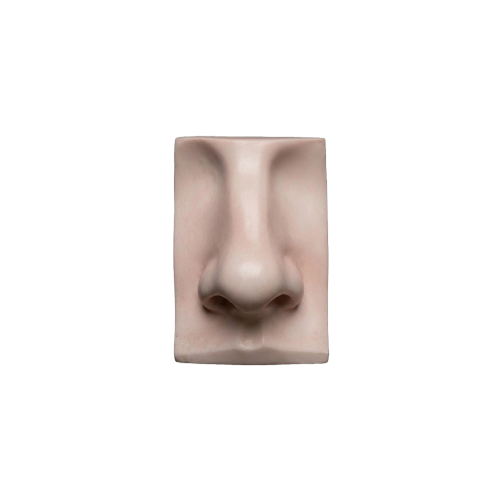 手術概述